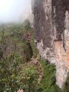 Paso de Las Lágrimas