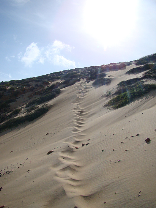 A caminho da Pedra Furada