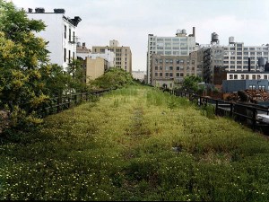 High Line dominado pela vegetação