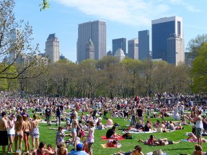 Sheep Meadow no alto verão
