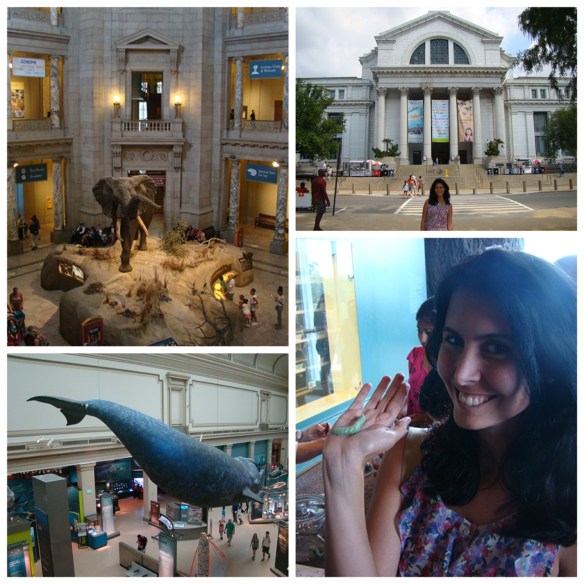 naturalMuseum