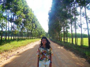 Na estrada para Caraíva